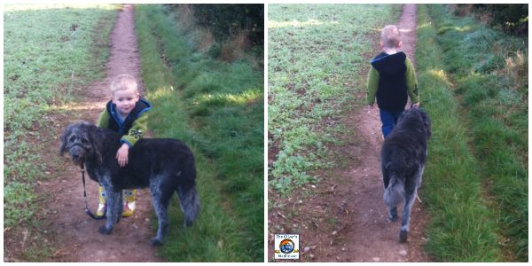 One Boy And His Dog The Oliver\\\'s Madhouse One Boy And His Dog The Oliver\\\'s Madhouse