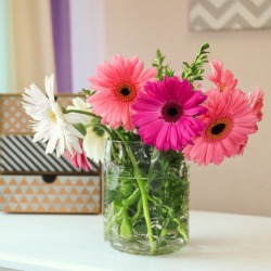 Beautiful flowers in vase on table