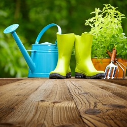 Outdoor gardening tools on old wood table