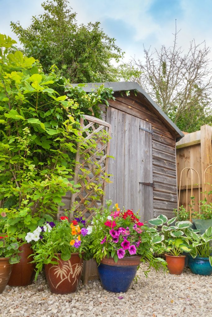 Making Sure Your Garden Is Ready For Summer The Oliver\\\'s Madhouse