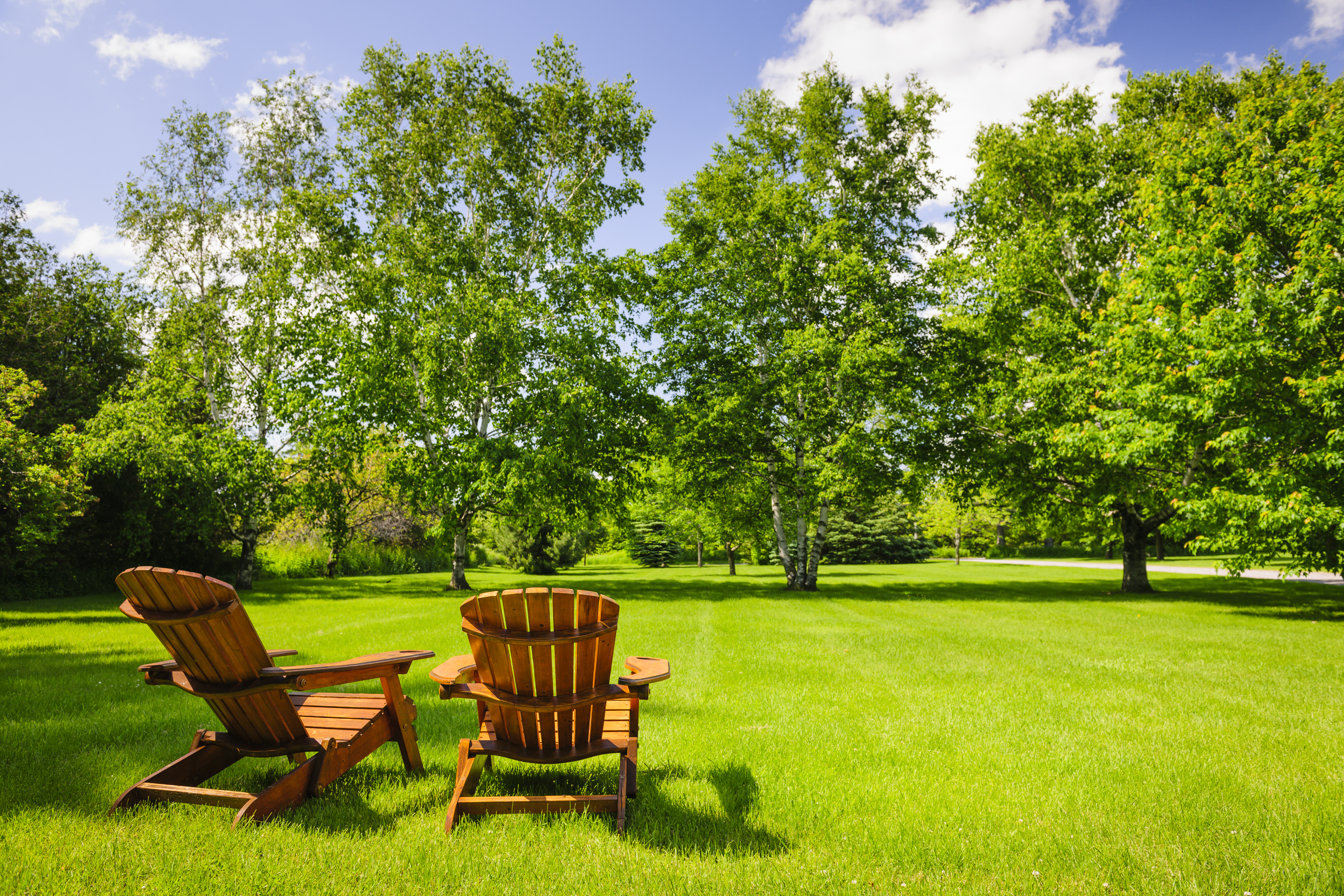 Seasonal Home Maintenance: Preparing for Summer Heat The Oliver\\\'s Madhouse