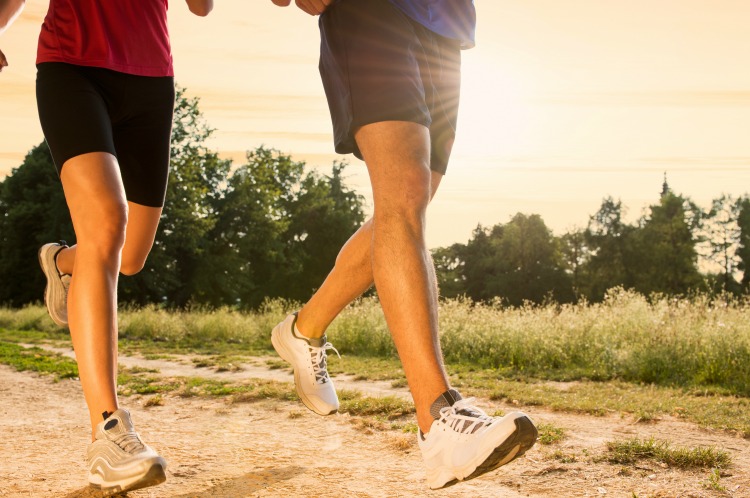3 Ways to Maintain a Healthy Lifestyle Easily The Oliver\\\'s Madhouse