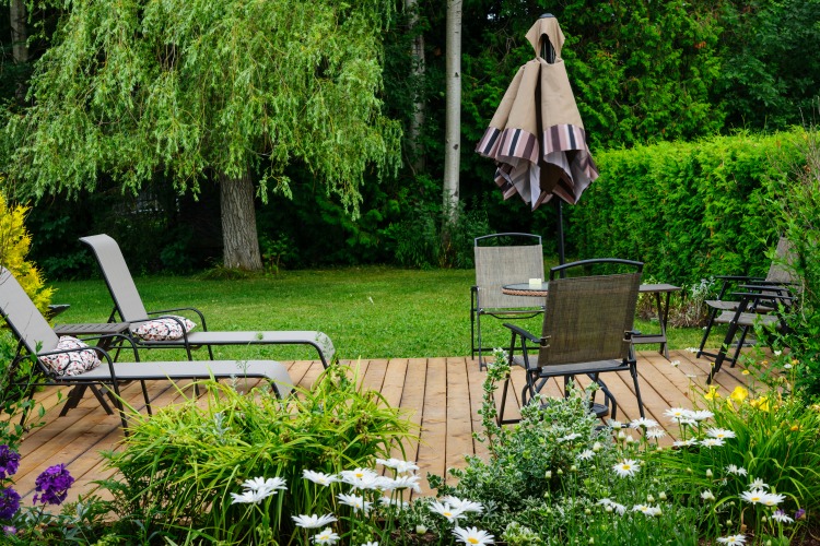 Easy Ways to Transform Your Garden The Oliver\\\'s Madhouse