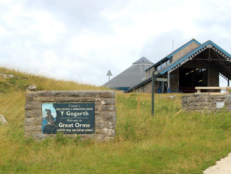 The Great Orme Tramway & Why It's Worth A Visit When In Wales The Oliver\\\'s Madhouse