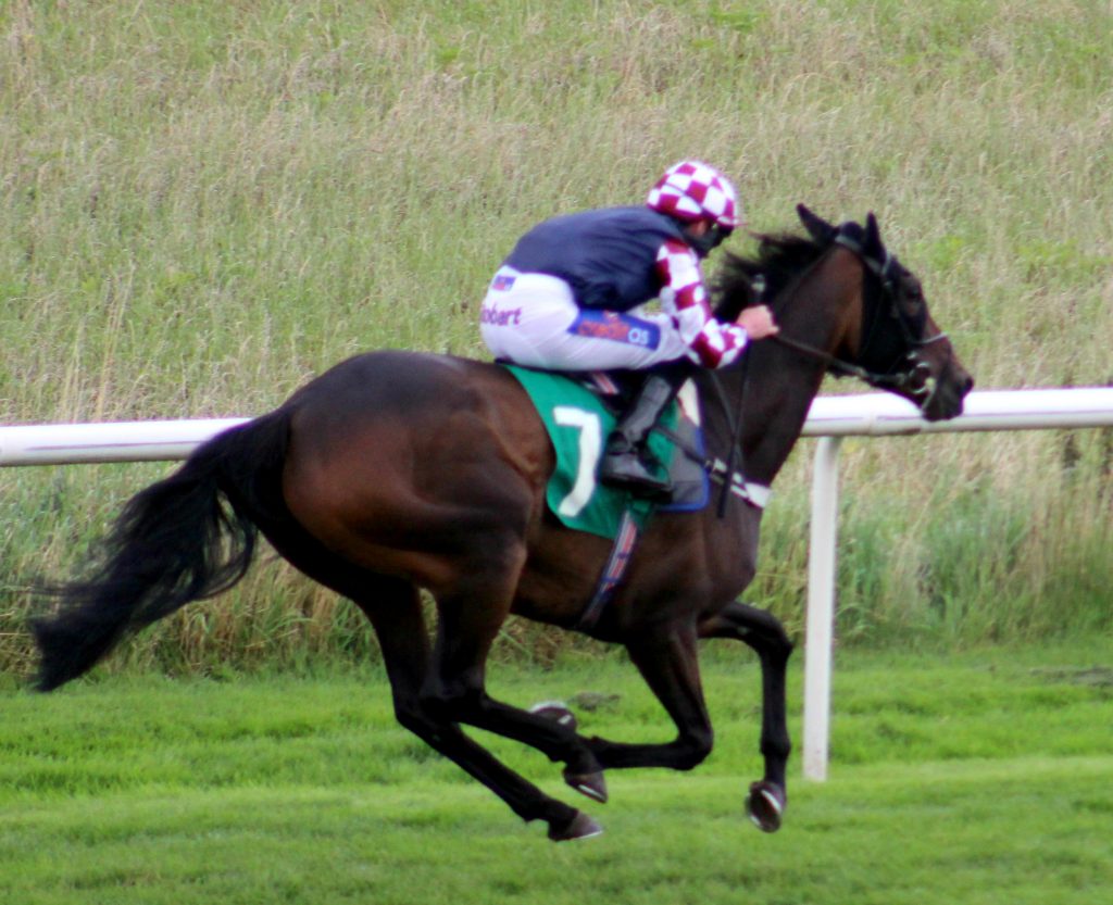 Winning At Thirsk Races Family Day Summer 2019 The Oliver\\\'s Madhouse