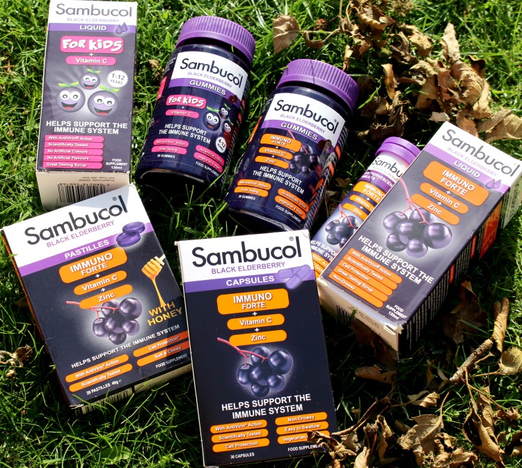 Beating The ‘Back-To-School-Bugs’ With Sambucol The Oliver\\\'s Madhouse Beating The ‘Back-To-School-Bugs’ With Sambucol The Oliver\\\'s Madhouse