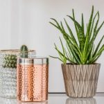 Close-up of aloe plant in patterned pot and a copper box on glass shelf