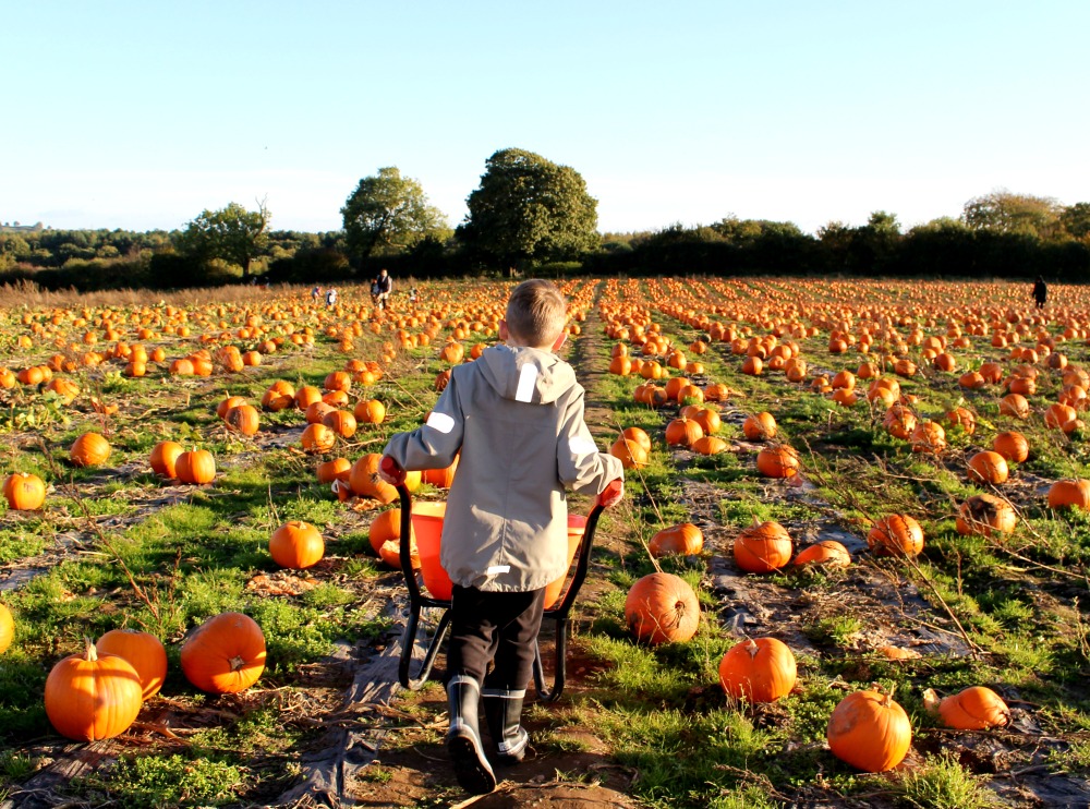 Why I Love My Kids Being Outdoor Kids! The Oliver\\\'s Madhouse