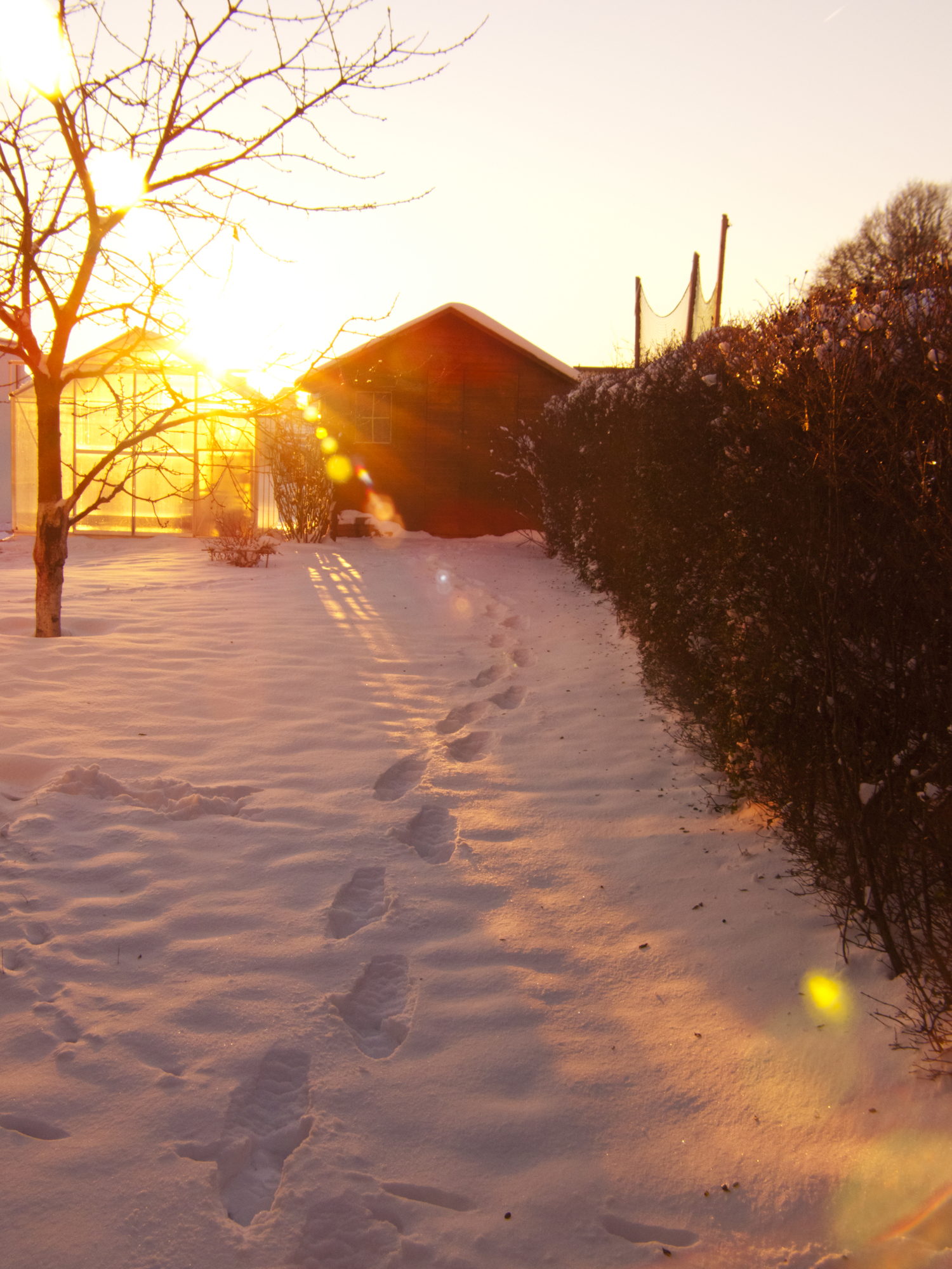 How to Use Your Garden in Winter The Oliver\\\'s Madhouse