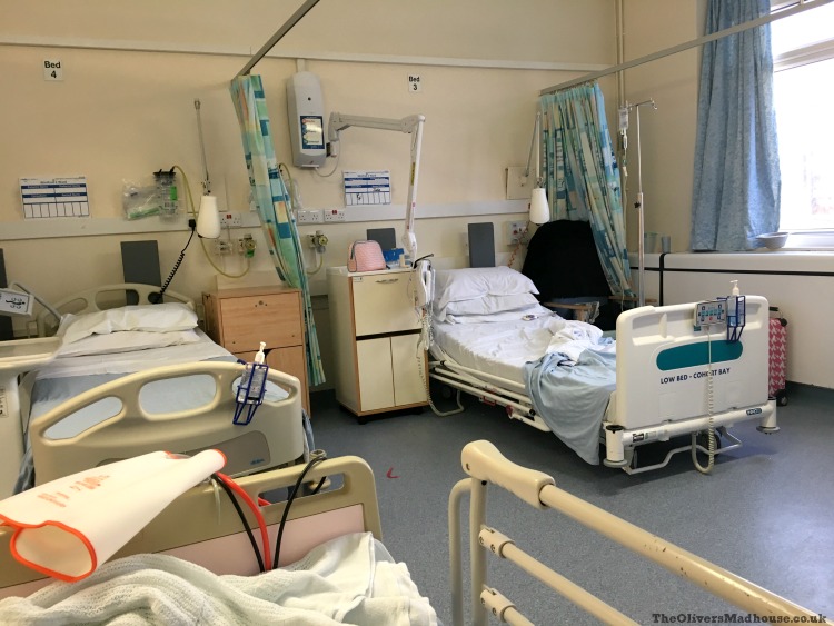 Here's What We Can All Do To Keep Superbugs At Bay The Oliver\\\'s Madhouse Here's What We Can All Do To Keep Superbugs At Bay The Oliver\\\'s Madhouse