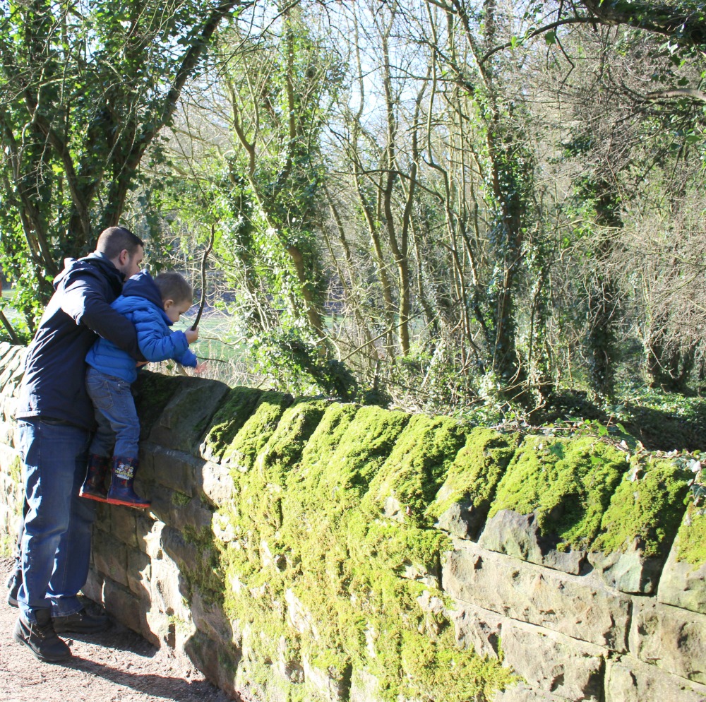 A Family Trip To Creswell Crags The Oliver\\\'s Madhouse