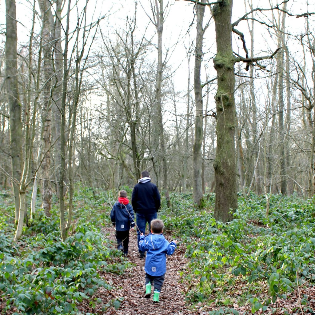 A *cough cough* Interesting Windy Forest Adventure The Oliver\\\'s Madhouse