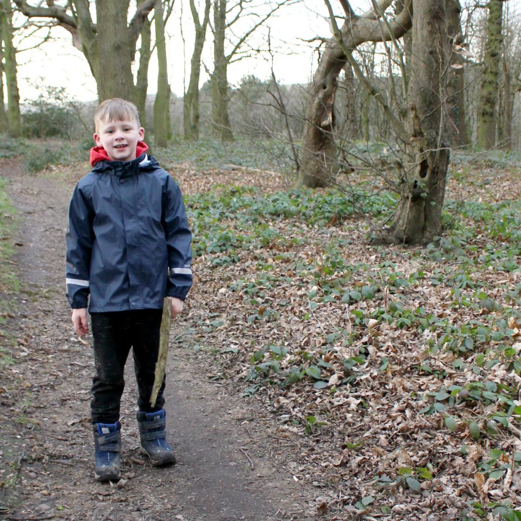 A *cough cough* Interesting Windy Forest Adventure The Oliver\\\'s Madhouse