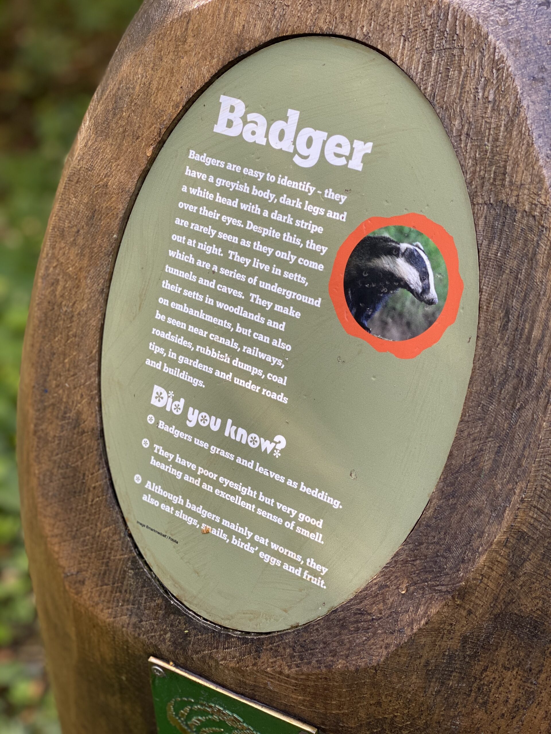 Discovering Gedling Country Park With The Kids The Oliver\\\'s Madhouse