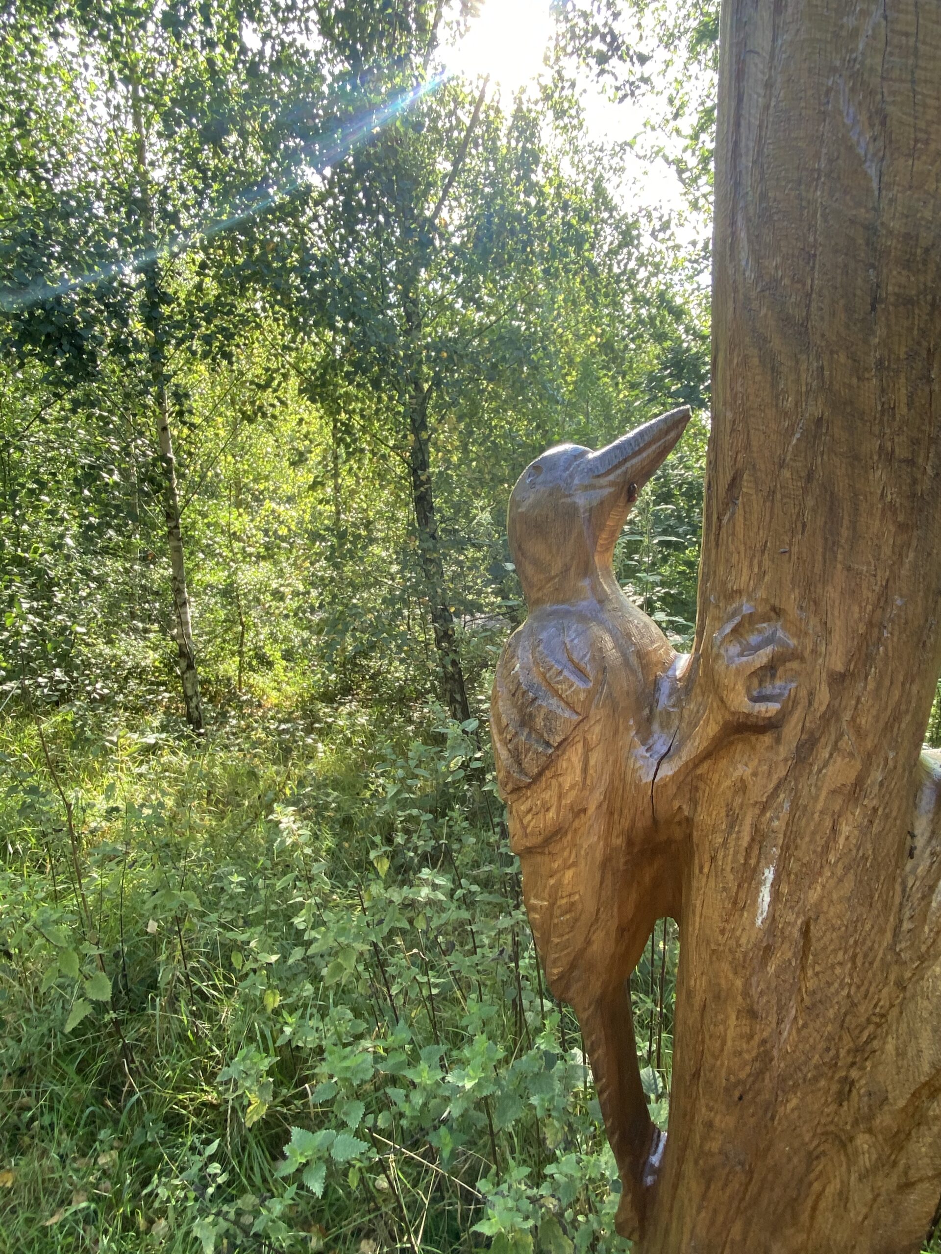 Discovering Gedling Country Park With The Kids The Oliver\\\'s Madhouse