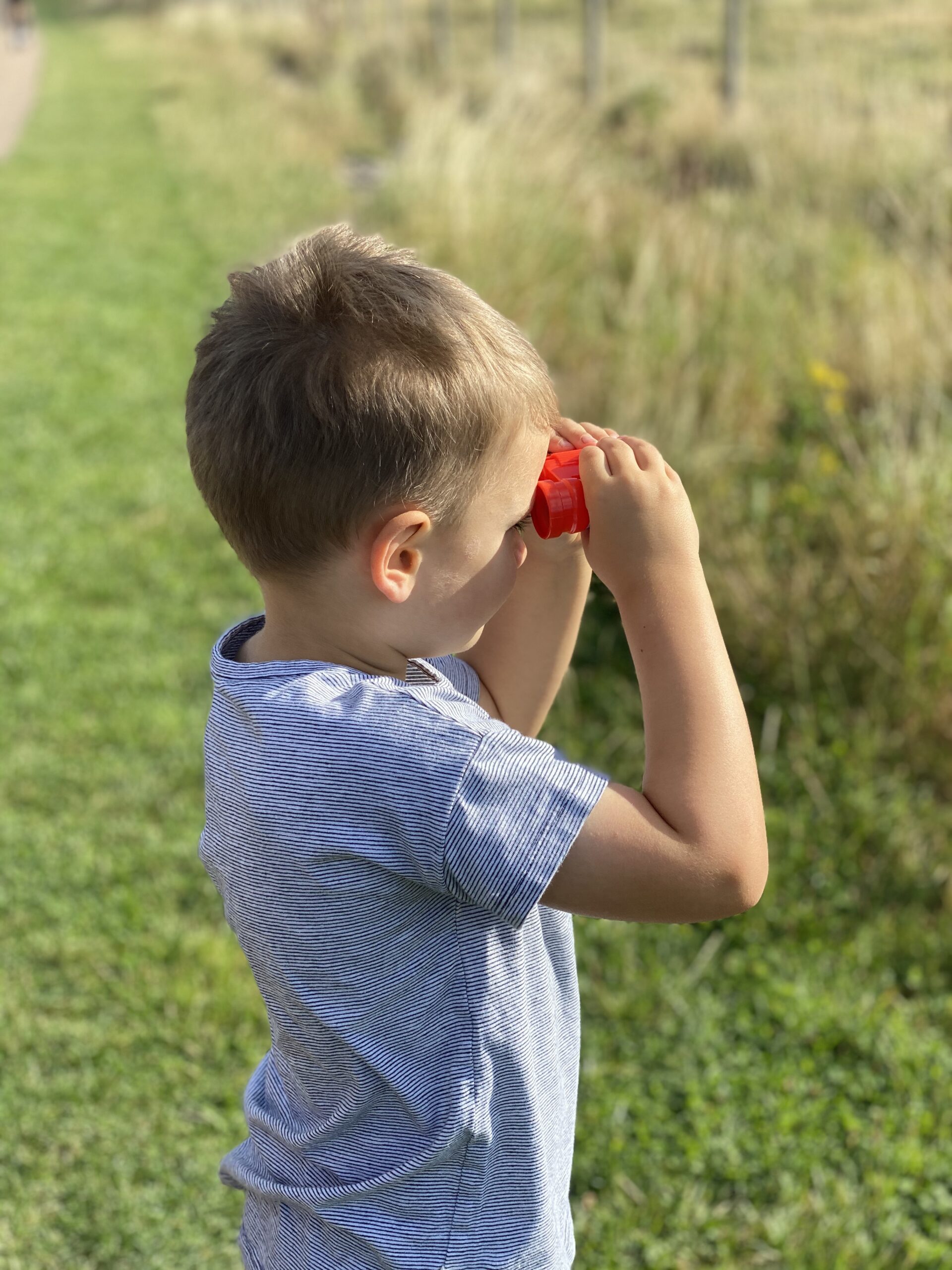 Discovering Gedling Country Park With The Kids The Oliver\\\'s Madhouse