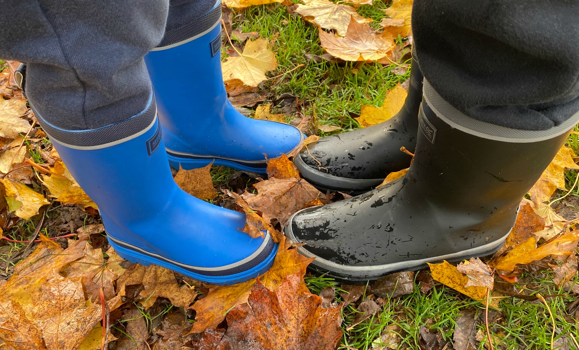 The Autumn Clean & Declutter The Oliver\\\'s Madhouse The Autumn Clean & Declutter The Oliver\\\'s Madhouse