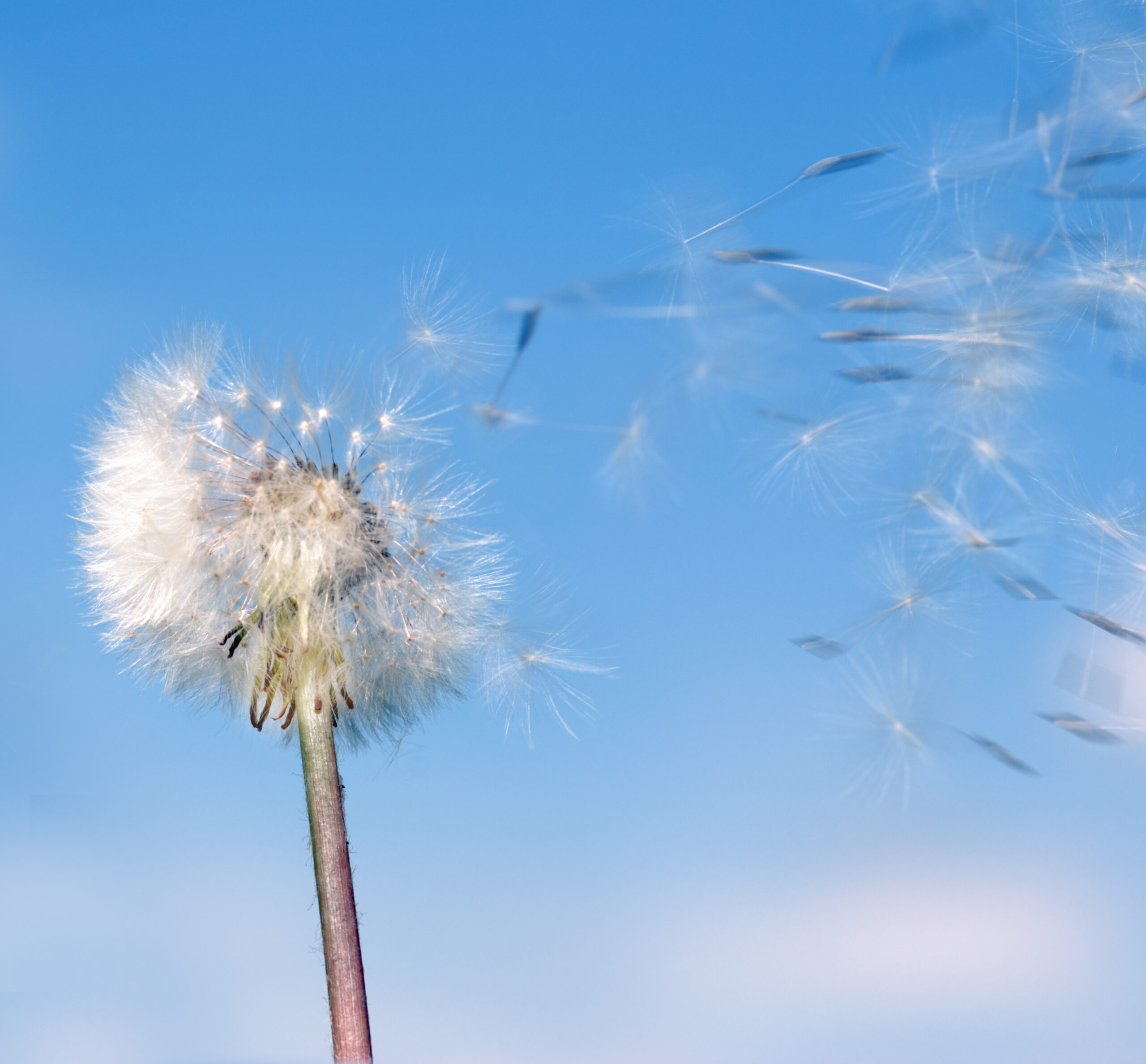 How To Find Out If You Have An Allergy  #AD The Oliver\\\'s Madhouse