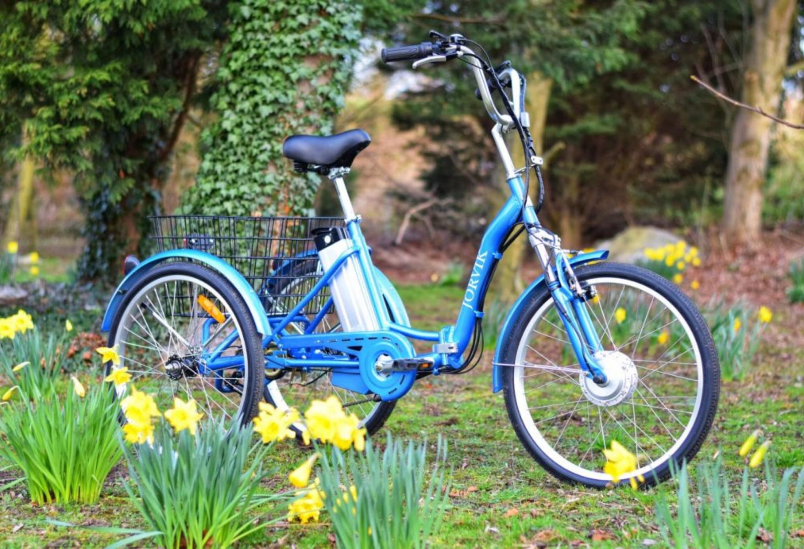 Why Tricycles Are Not Just For Kids The Oliver\\\'s Madhouse