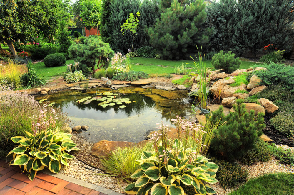 Breathe new life into your garden: how to get started The Oliver\\\'s Madhouse