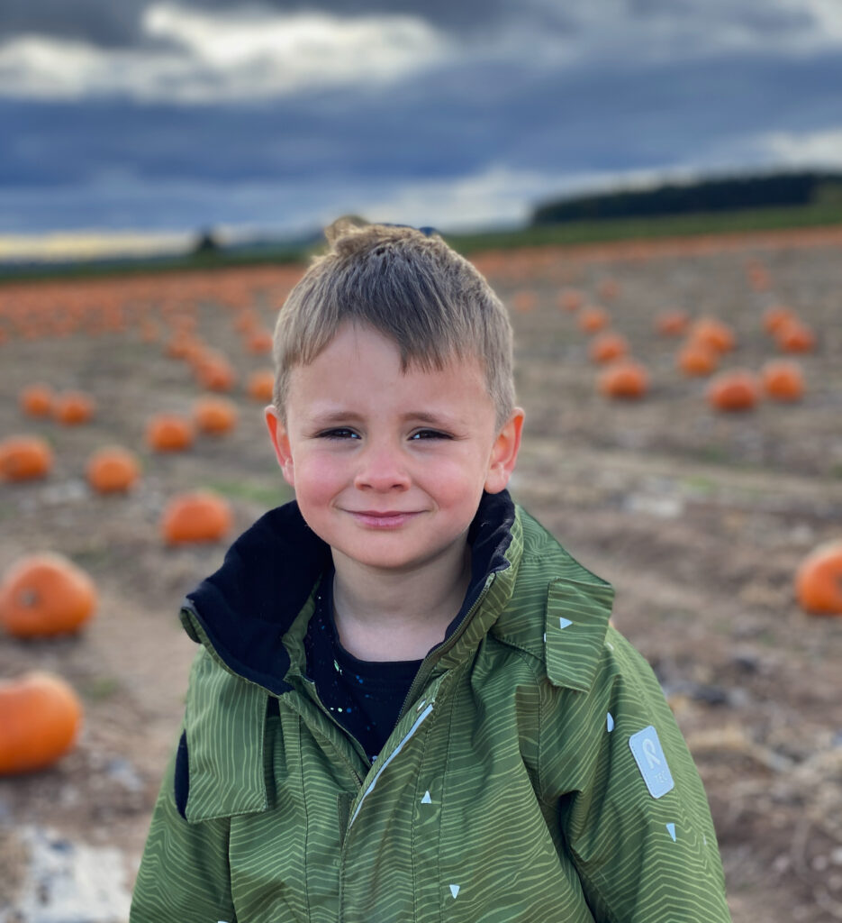 Pumpkin Picking In Nottinghamshire The Oliver\\\'s Madhouse