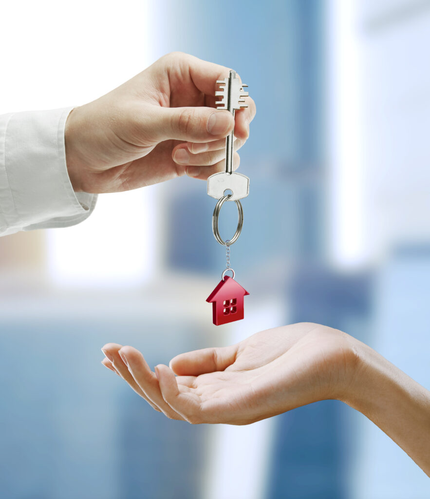 The Modern Homeowner’s Guide to a Faster Property Sale The Oliver\\\'s Madhouse