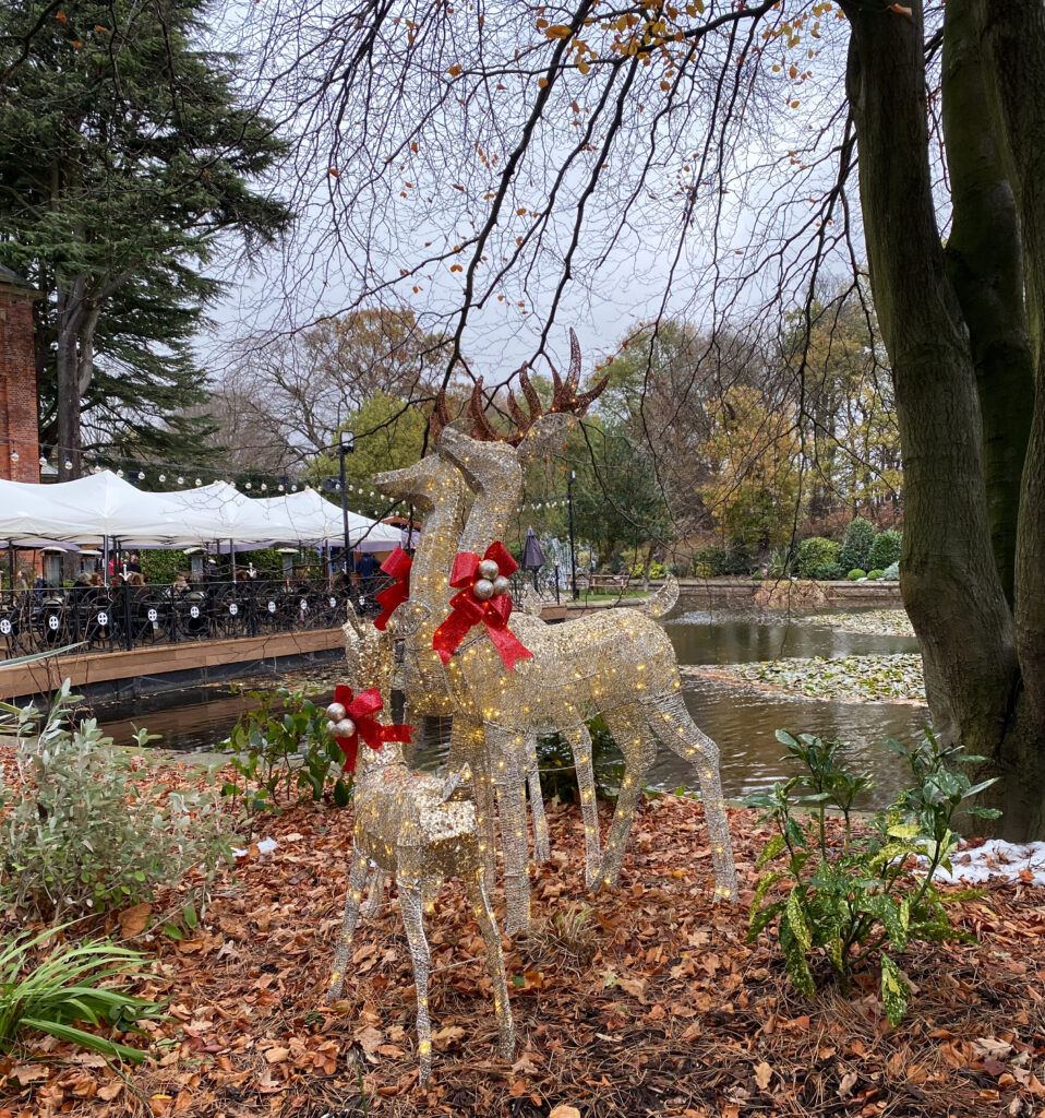 Visiting Santa This Christmas At Lakeside Nottingham The Oliver\\\'s Madhouse
