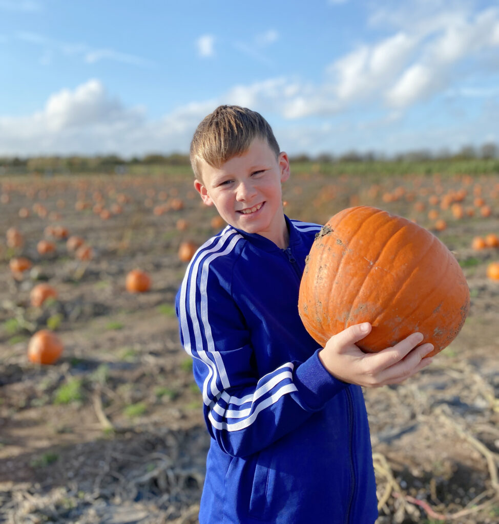 Nottingham Pick Your Own Pumpkins The Oliver\\\'s Madhouse