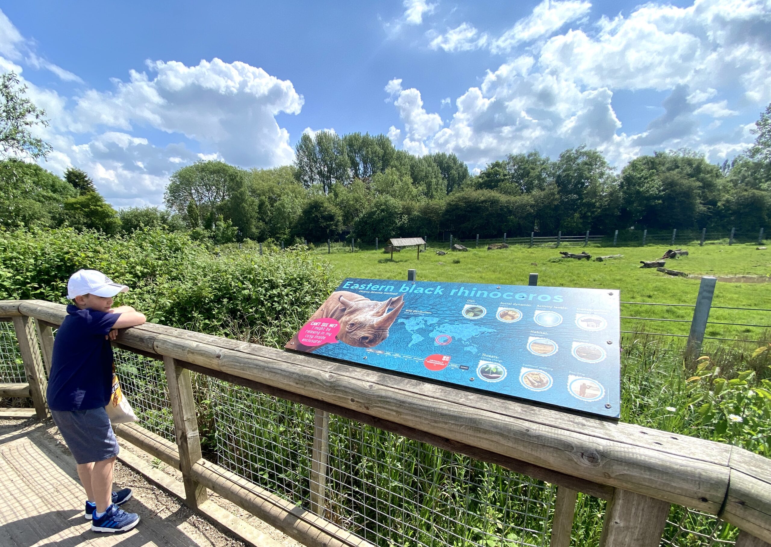 The Gruffalo Discovery Land Reopening At Twycross Zoo #Ad The Oliver\\\'s Madhouse