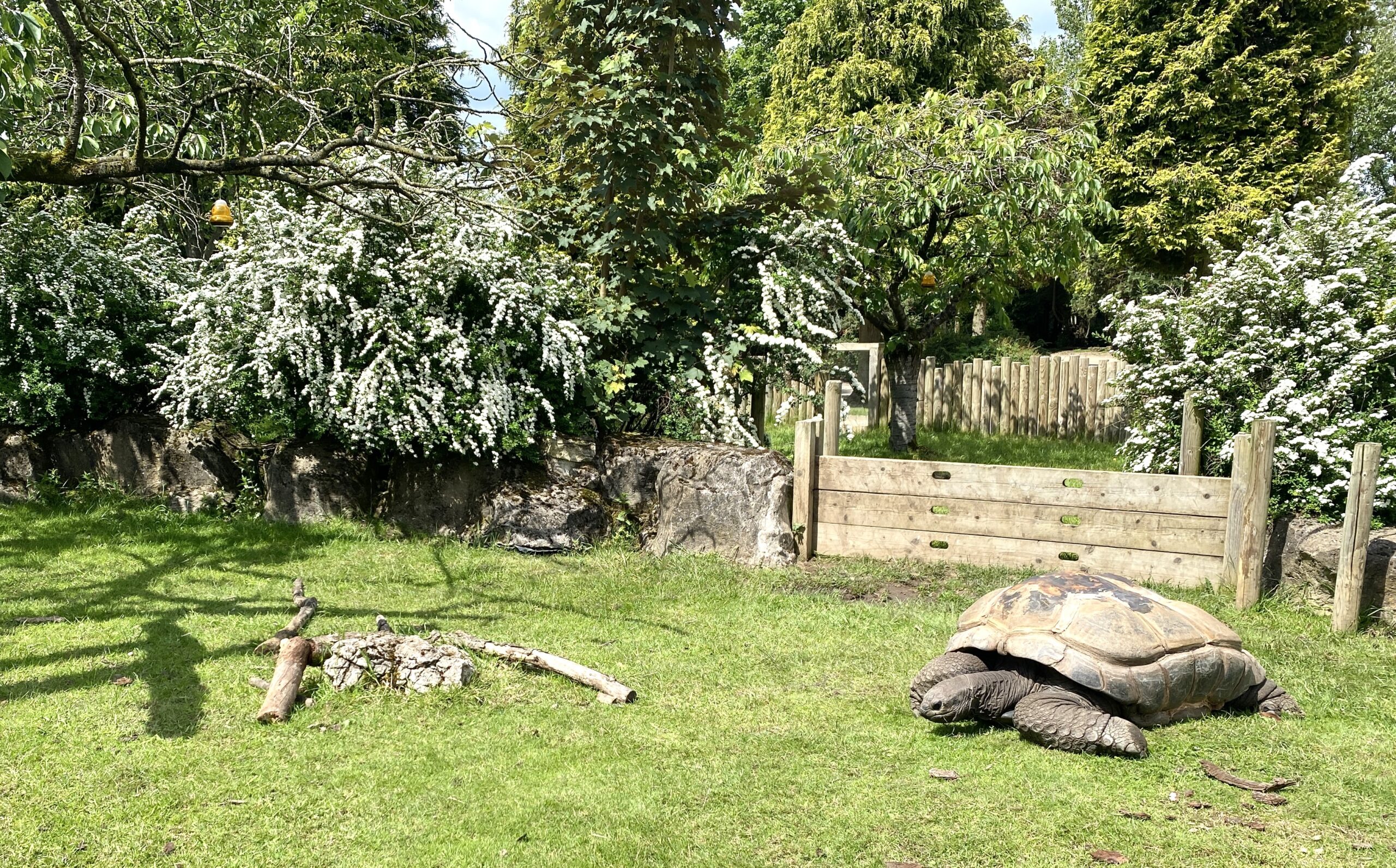 The Gruffalo Discovery Land Reopening At Twycross Zoo #Ad The Oliver\\\'s Madhouse The Gruffalo Discovery Land Reopening At Twycross Zoo #Ad The Oliver\\\'s Madhouse